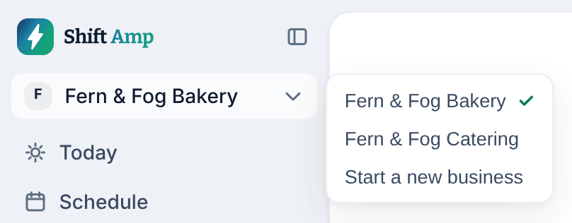 The organization menu open at the top of the left menu, listing two organizations with a check mark beside the current one, and Start a new business at the bottom.